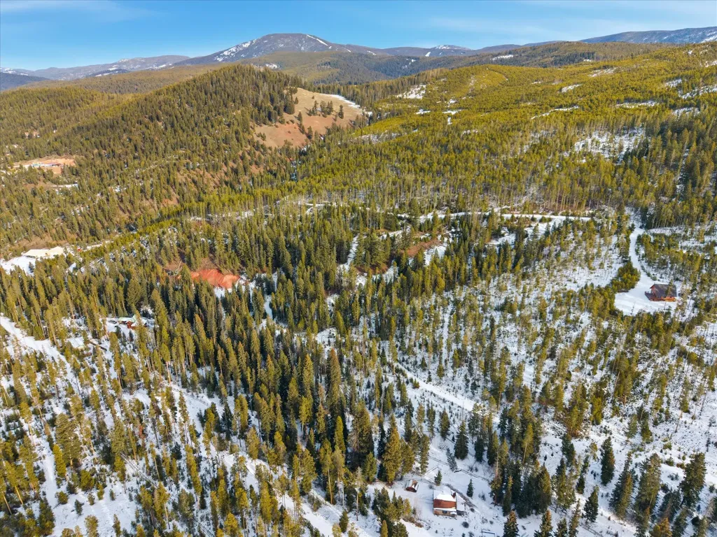Lot 3 Georgetown Lake Estates Philipsburg MT 59858