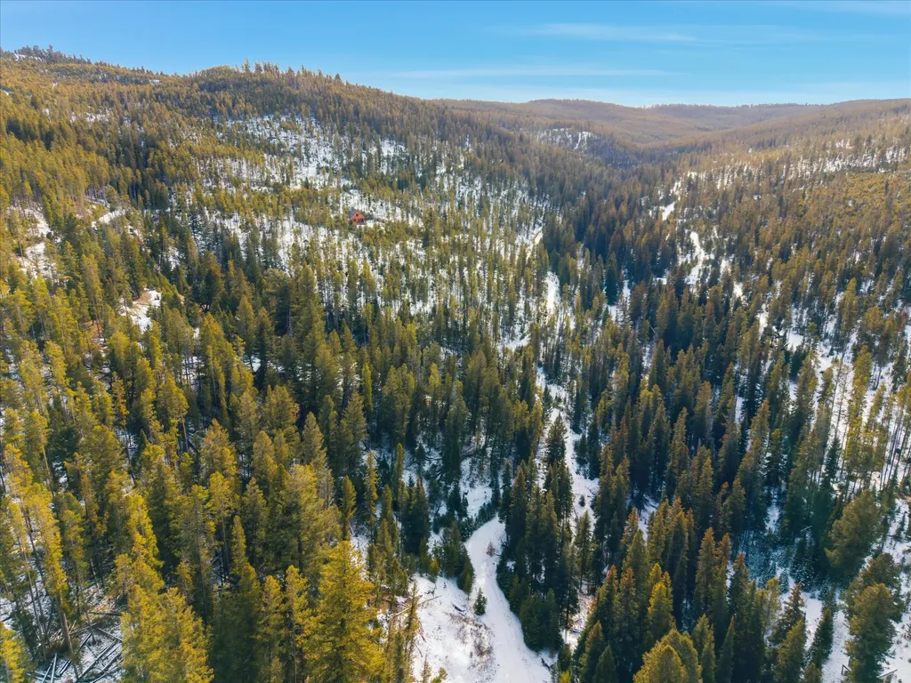 Lot 3 Georgetown Lake Estates Philipsburg MT 59858