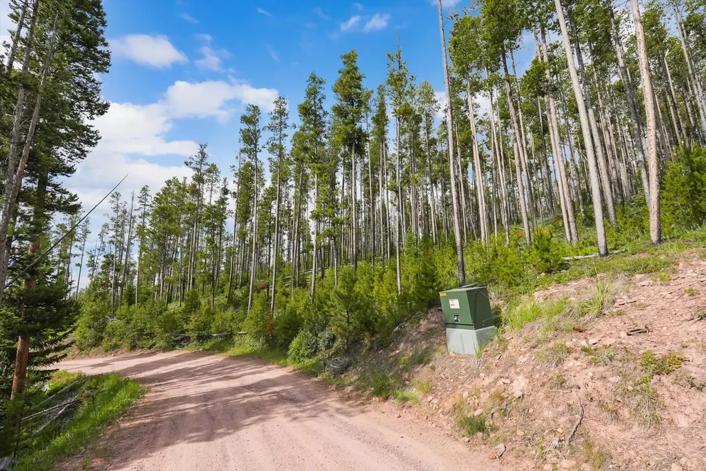 Lot 3 Georgetown Lake Estates Philipsburg MT 59858