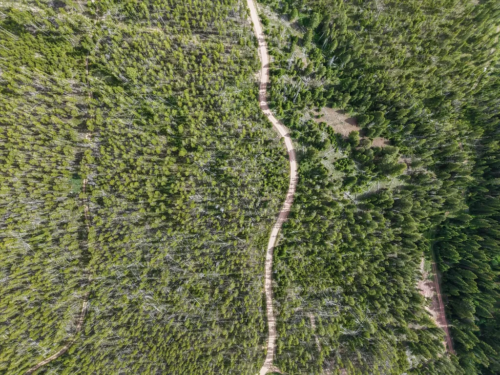 Lot 3 Georgetown Lake Estates Philipsburg MT 59858