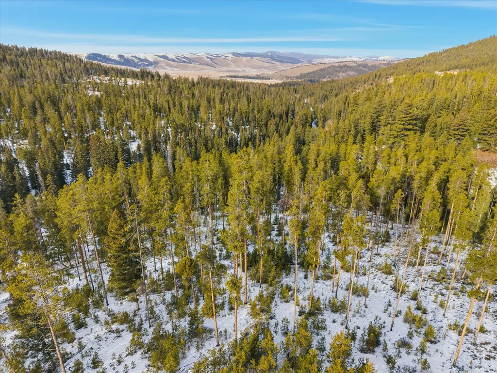 Lot 3 Georgetown Lake Estates Philipsburg MT 59858