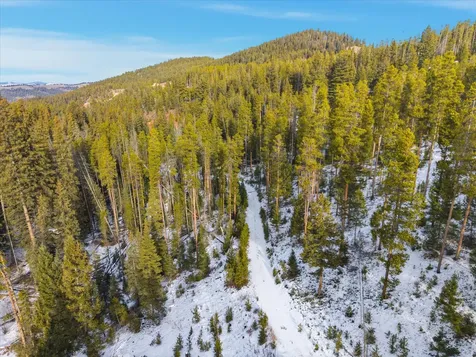 Lot 3 Georgetown Lake Estates Philipsburg MT 59858
