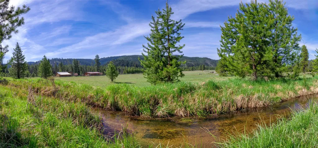 2766 E Fork Road Sula MT 59871