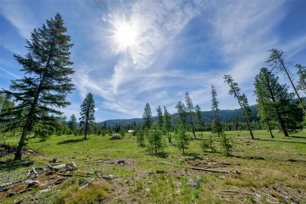 2766 E Fork Road Sula MT 59871