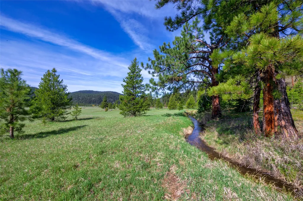 2766 E Fork Road Sula MT 59871