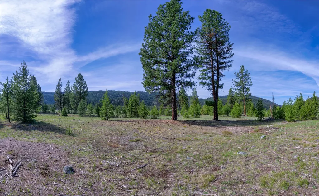 2766 E Fork Road Sula MT 59871