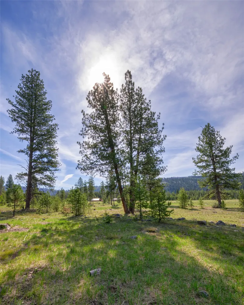 2766 E Fork Road Sula MT 59871