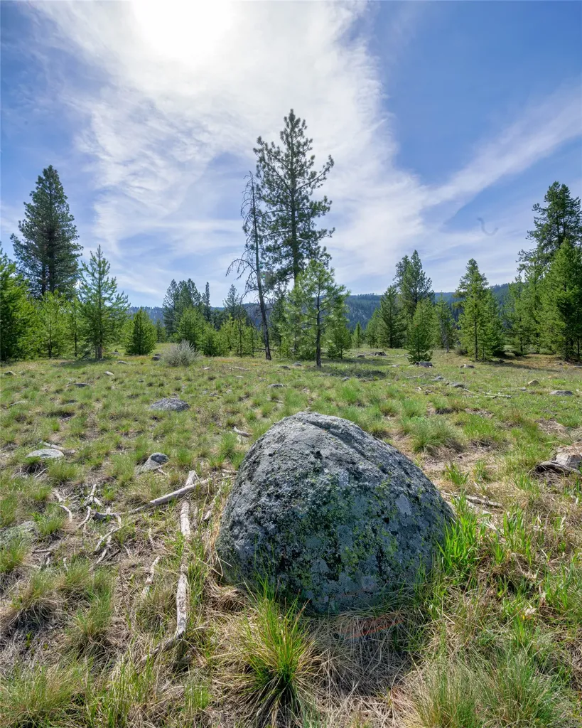 2766 E Fork Road Sula MT 59871