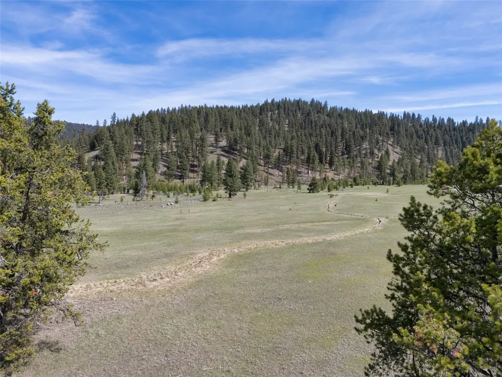 2766 E Fork Road Sula MT 59871