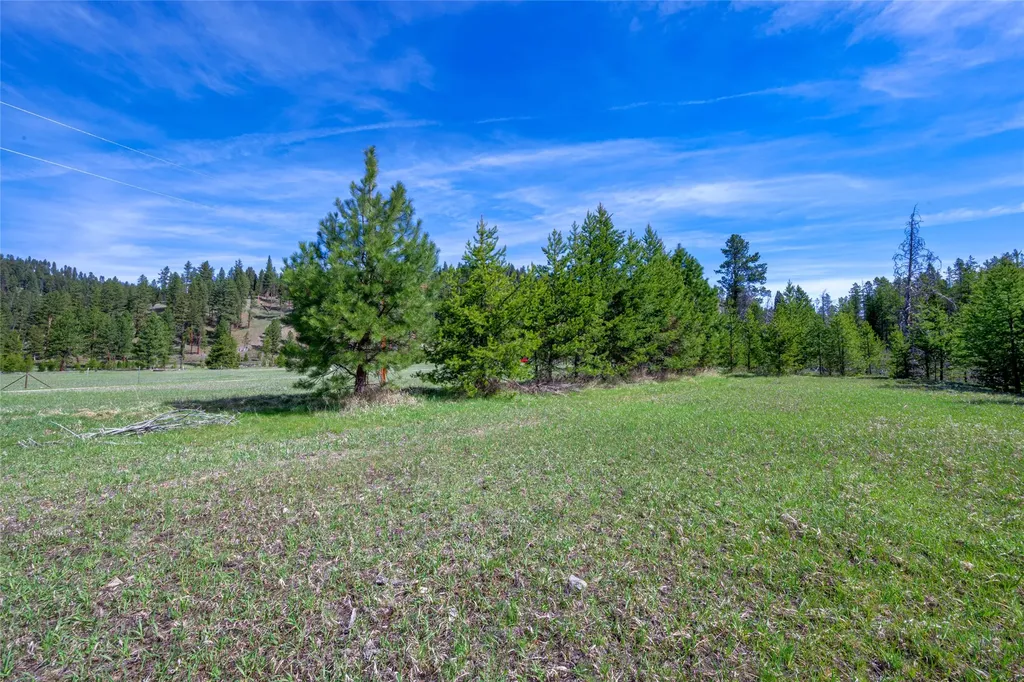 2766 E Fork Road Sula MT 59871