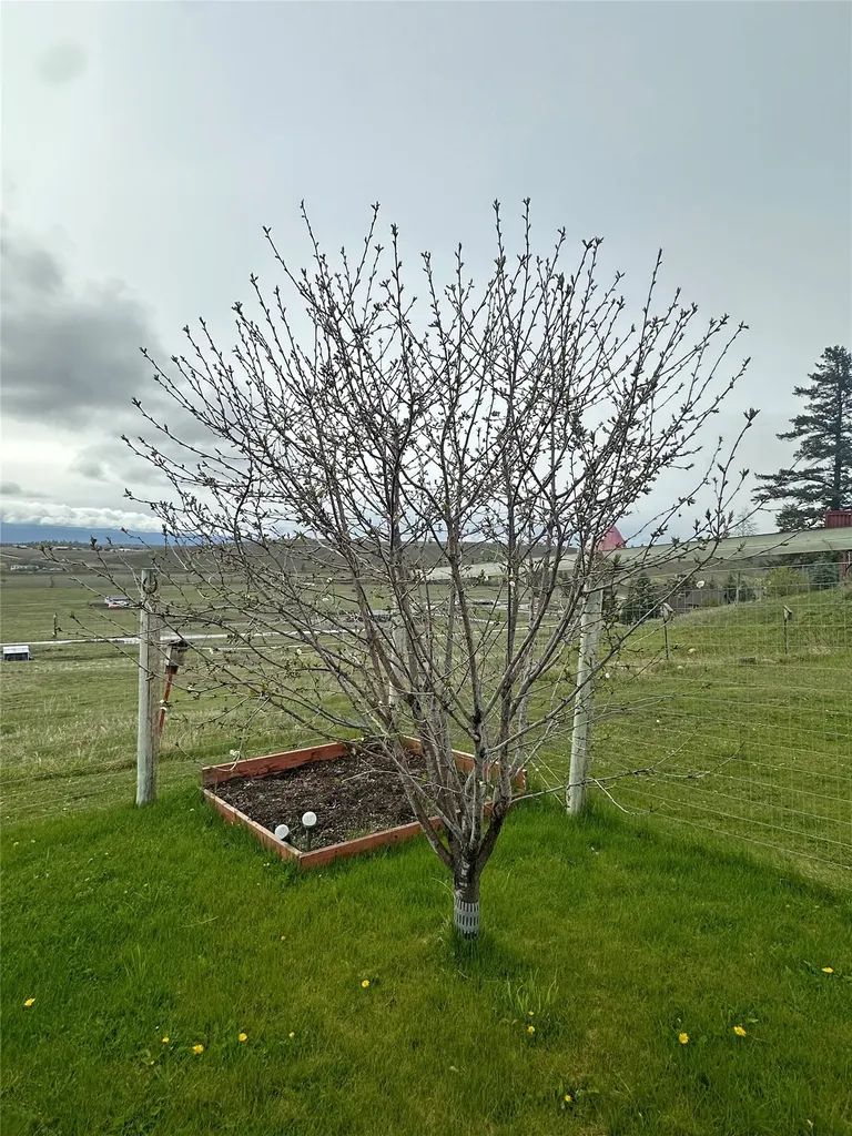 156 Bootleg Road Eureka MT 59917