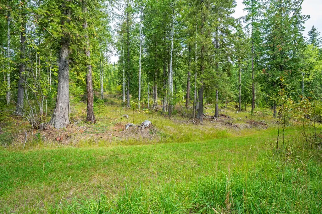 2178 Snowghost Drive Whitefish MT 59937