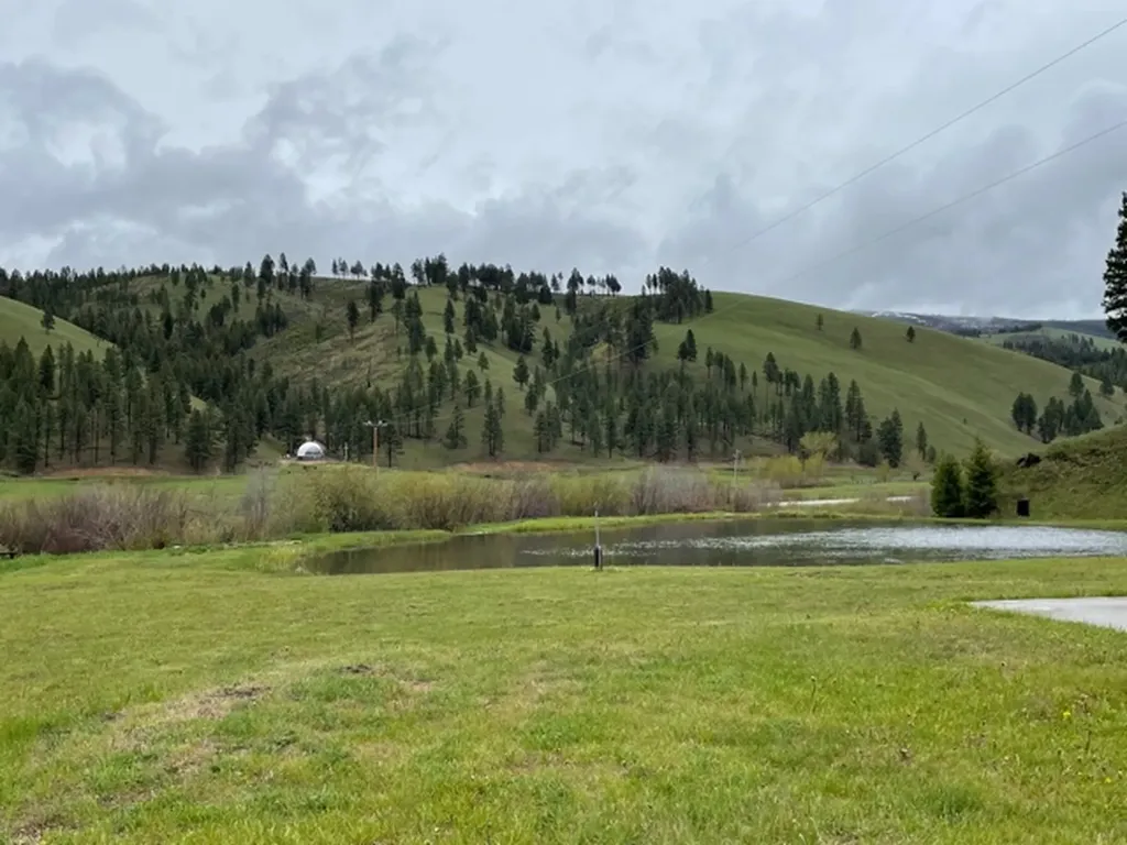 7601 Us Highway 93 S Sula MT 59871