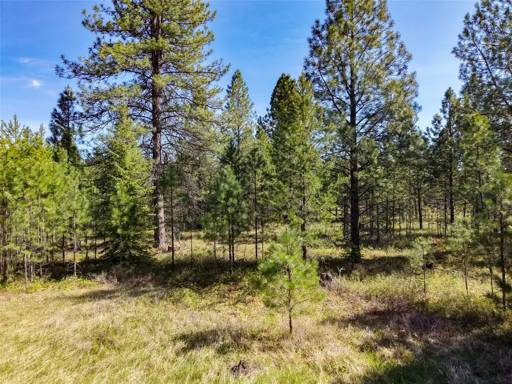 Lot 2d Liberty Lane Libby MT 59923