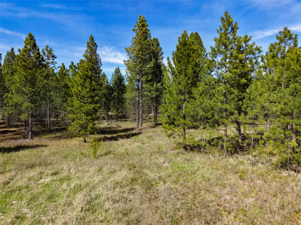 Lot 2d Liberty Lane Libby MT 59923