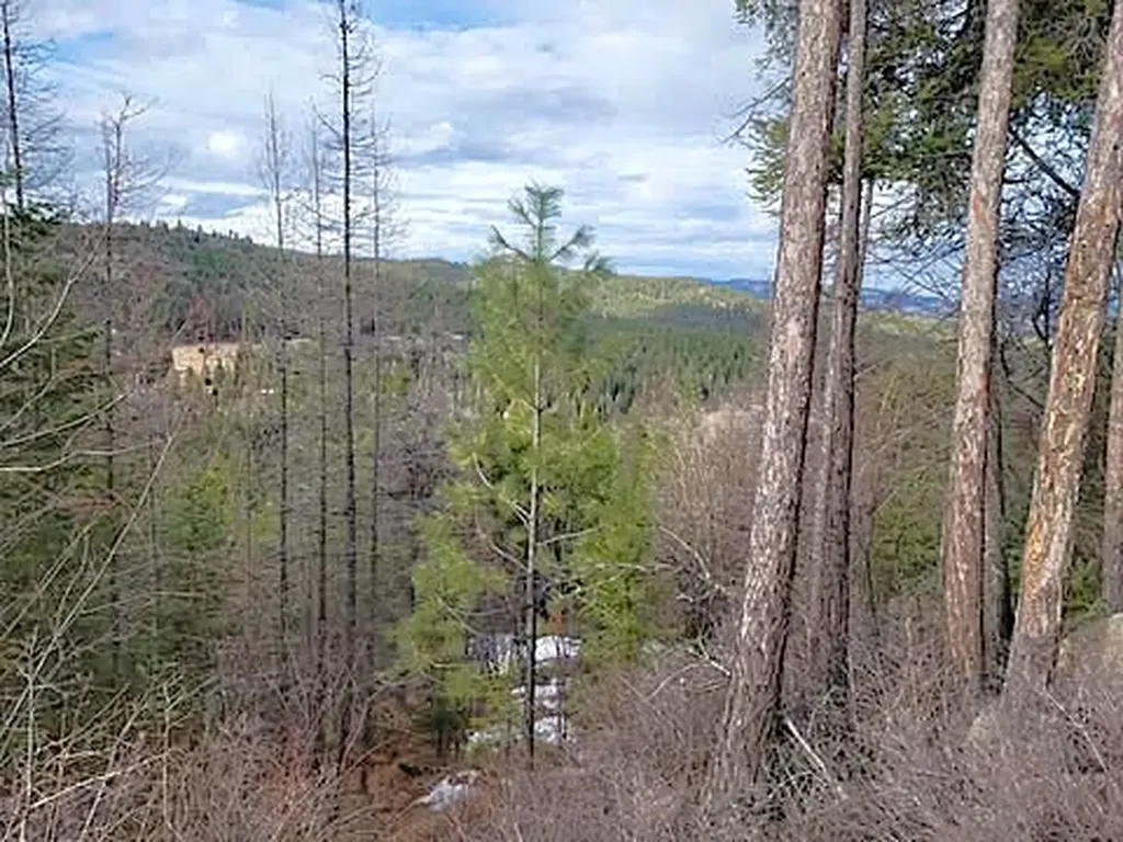 141 Eagle View Road Kila MT 59920