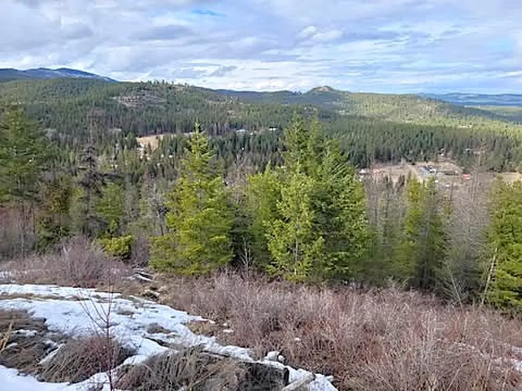 141 Eagle View Road Kila MT 59920