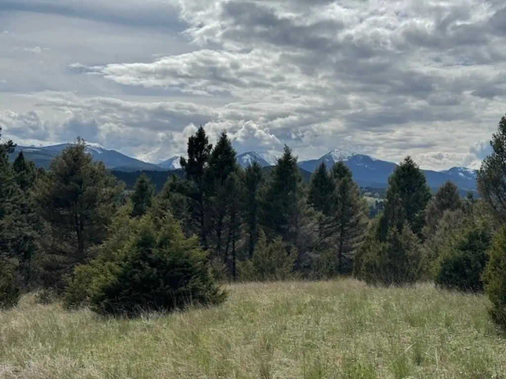 704 Flint View Road Deer Lodge MT 59722