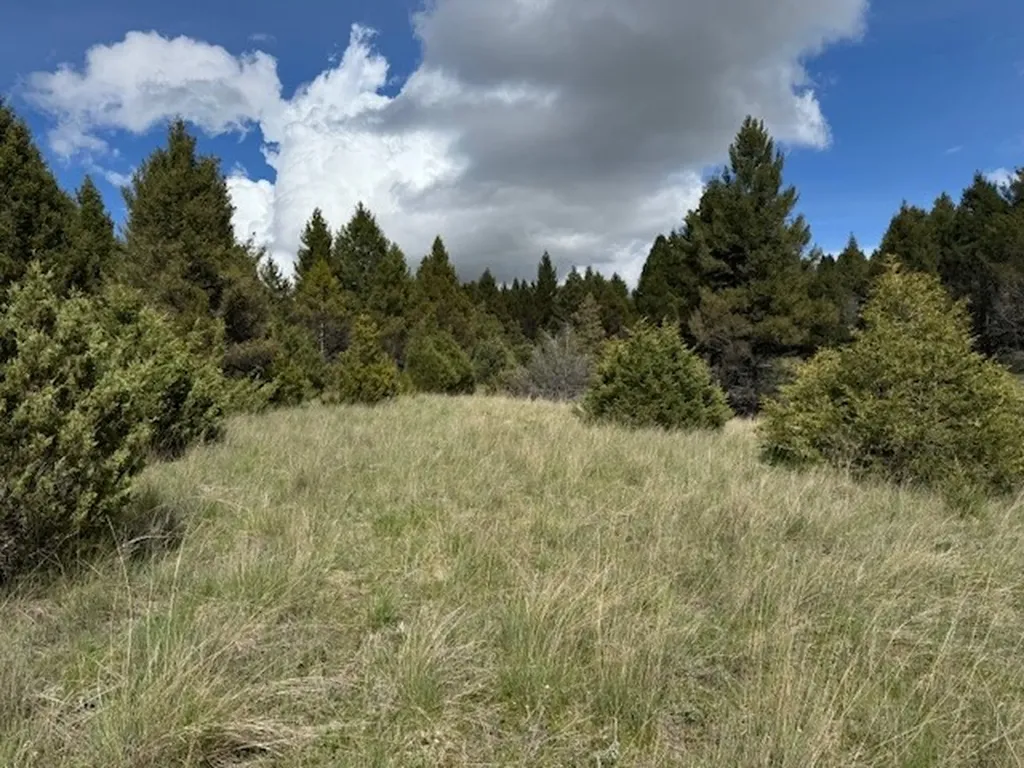 704 Flint View Road Deer Lodge MT 59722