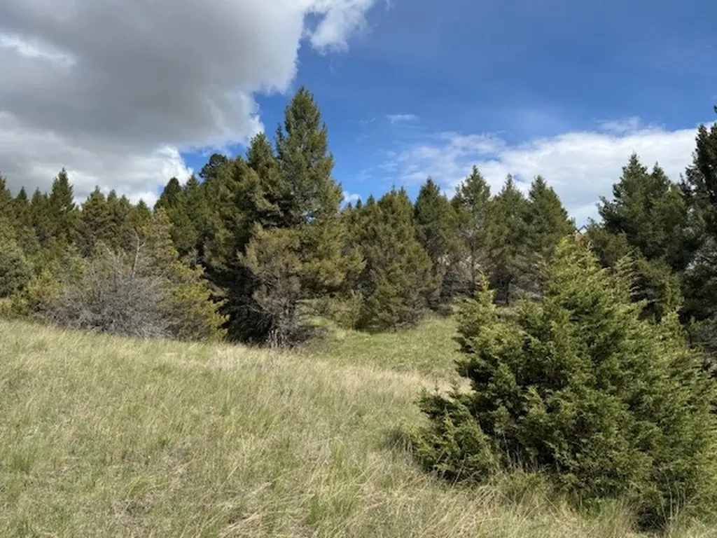 704 Flint View Road Deer Lodge MT 59722