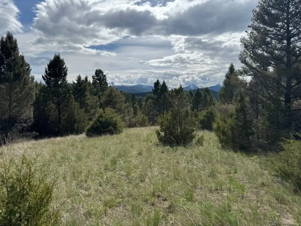 704 Flint View Road Deer Lodge MT 59722