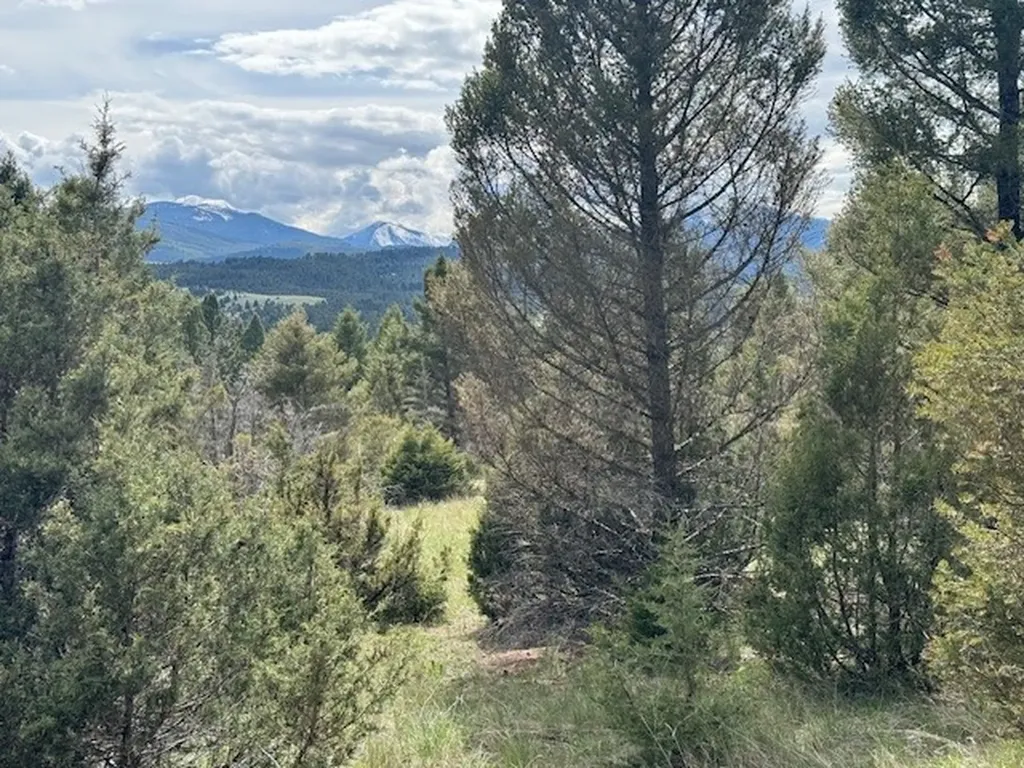704 Flint View Road Deer Lodge MT 59722