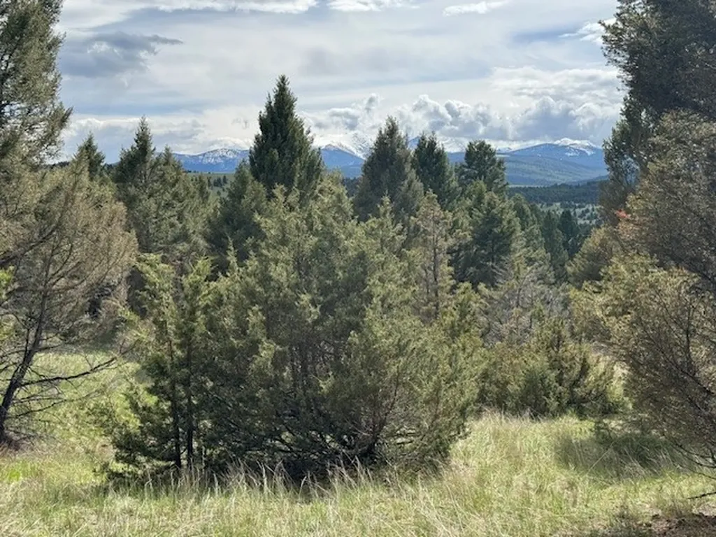 704 Flint View Road Deer Lodge MT 59722