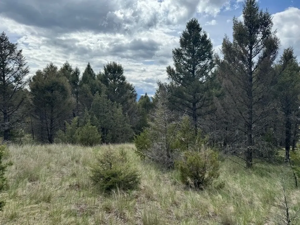 704 Flint View Road Deer Lodge MT 59722