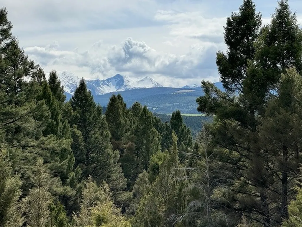 704 Flint View Road Deer Lodge MT 59722
