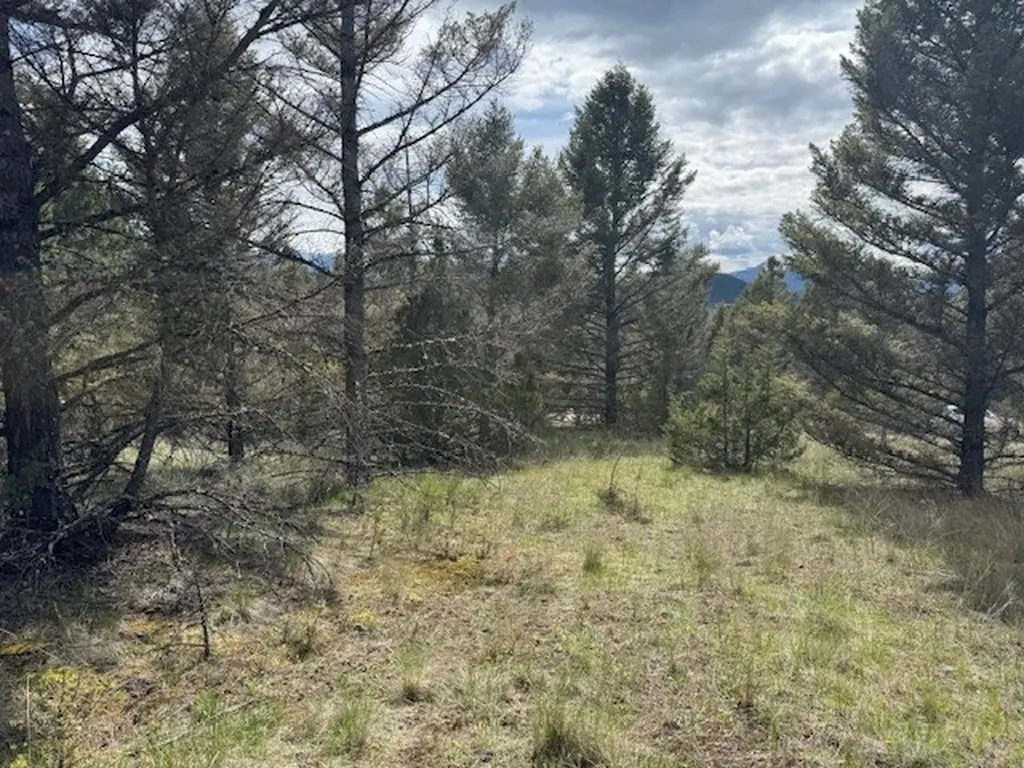 704 Flint View Road Deer Lodge MT 59722