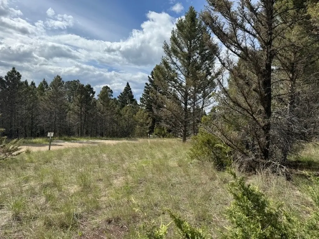 704 Flint View Road Deer Lodge MT 59722
