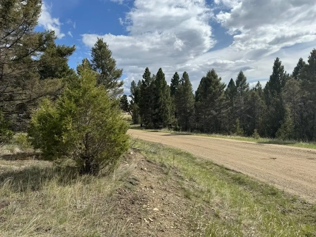 704 Flint View Road Deer Lodge MT 59722