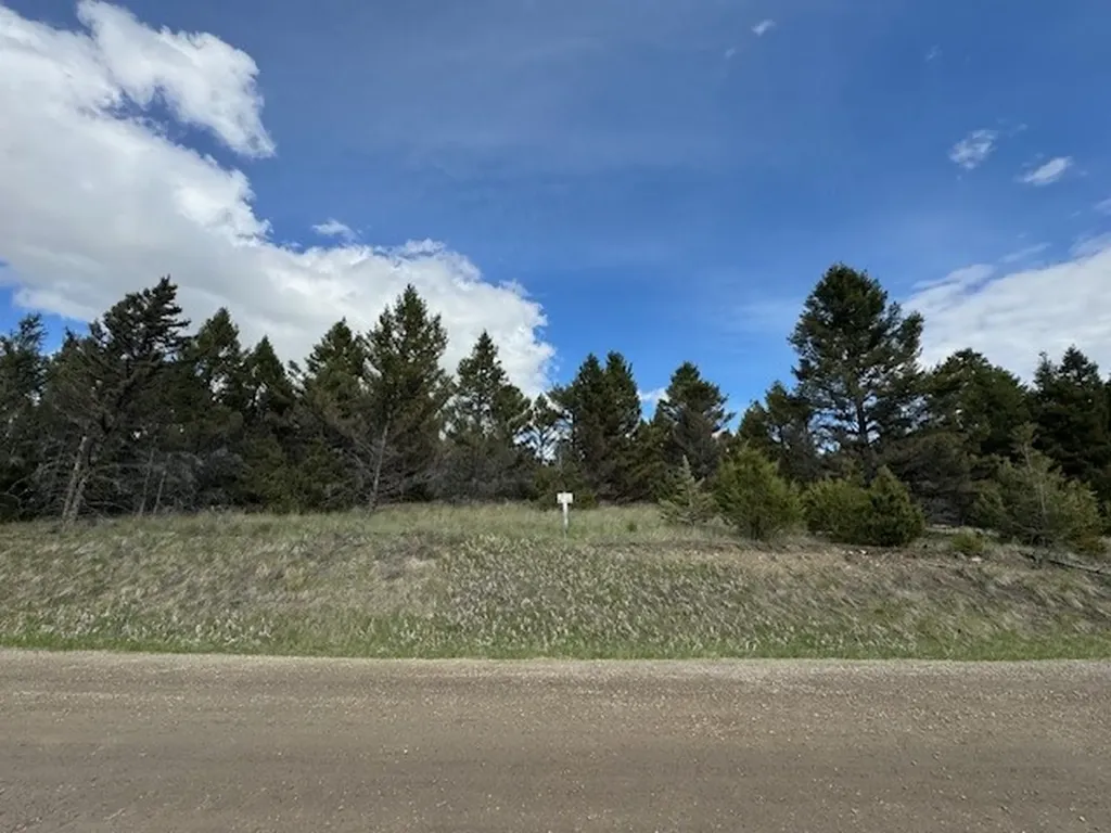 704 Flint View Road Deer Lodge MT 59722
