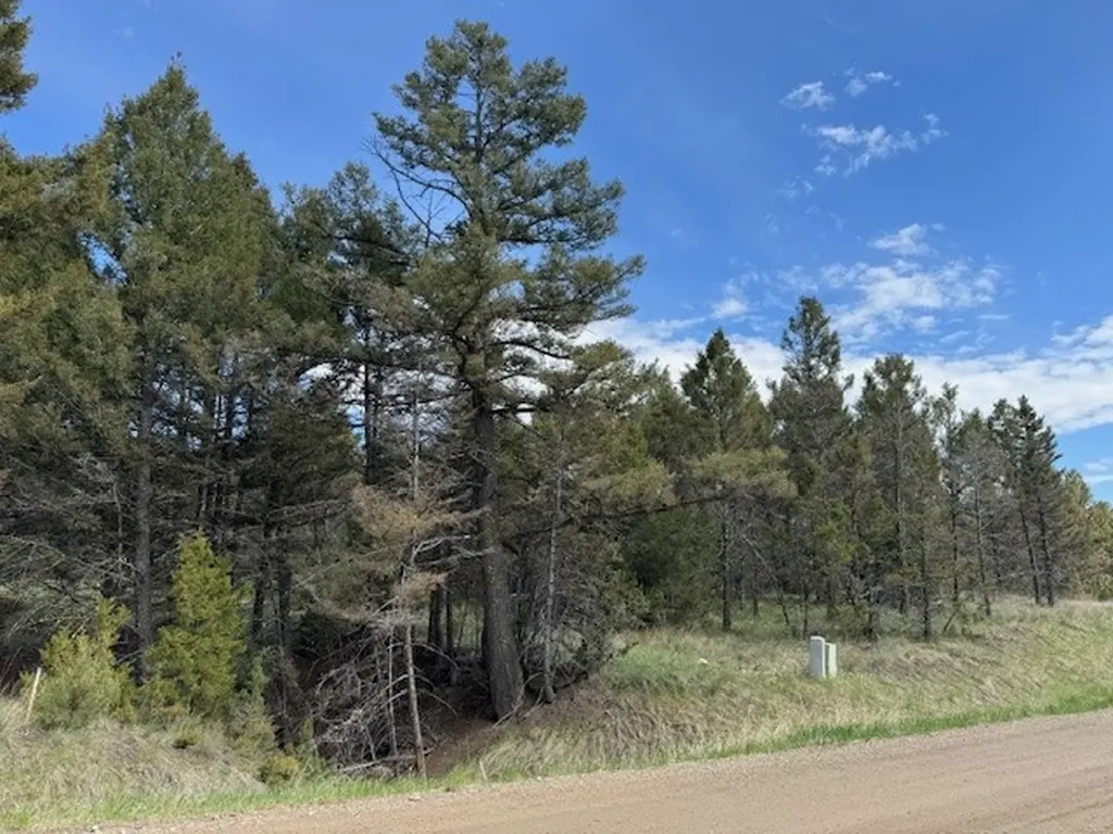 704 Flint View Road Deer Lodge MT 59722