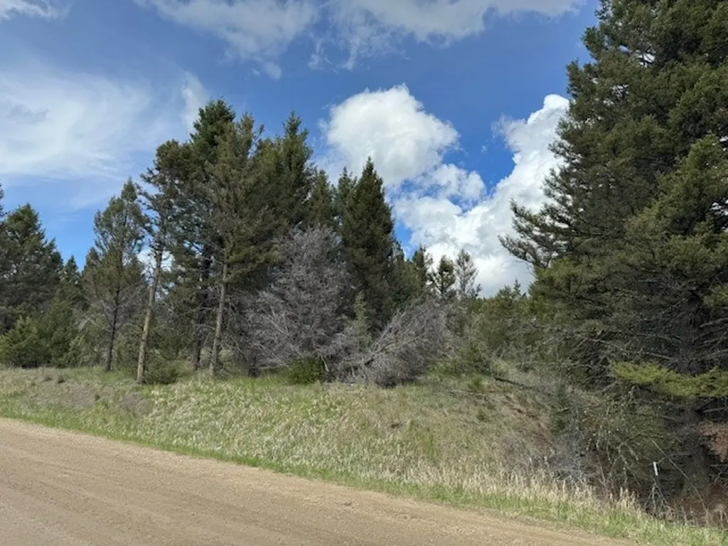 704 Flint View Road Deer Lodge MT 59722