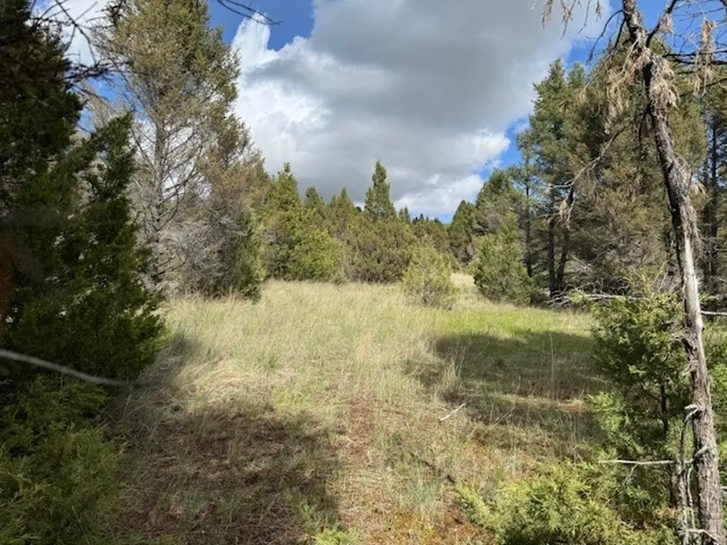 704 Flint View Road Deer Lodge MT 59722