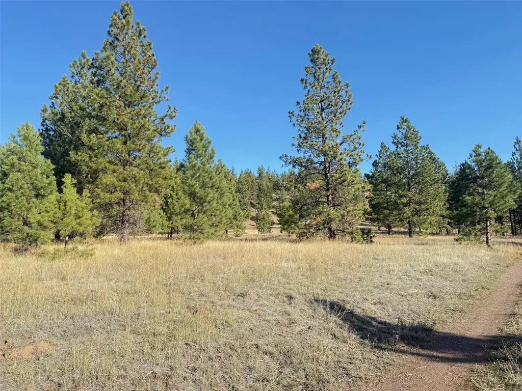 Parcel 1c Dry Gulch Road Missoula MT 59804