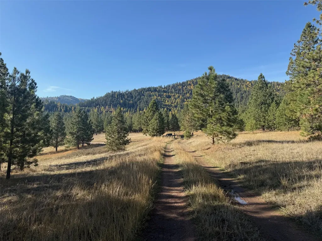 Parcel 1c Dry Gulch Road Missoula MT 59804