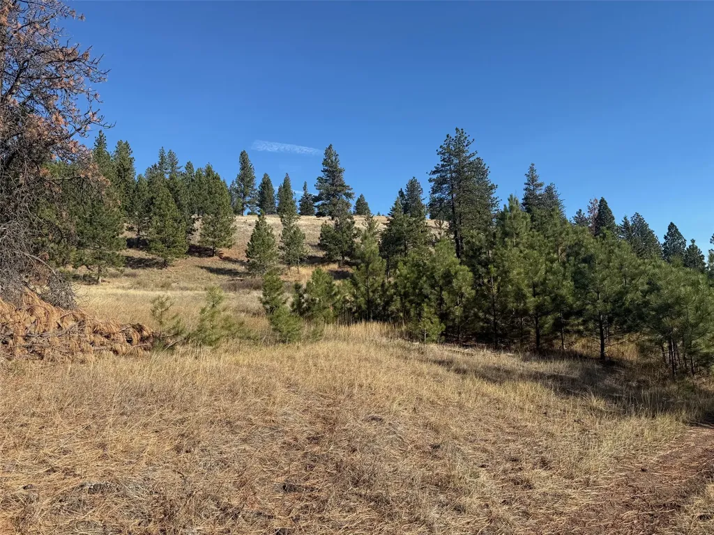 Parcel 1c Dry Gulch Road Missoula MT 59804