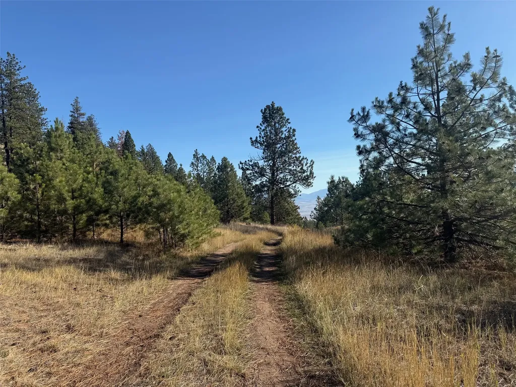 Parcel 1c Dry Gulch Road Missoula MT 59804