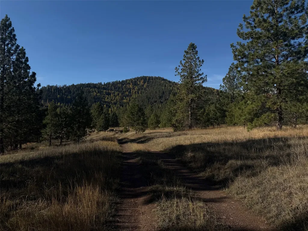 Parcel 1c Dry Gulch Road Missoula MT 59804