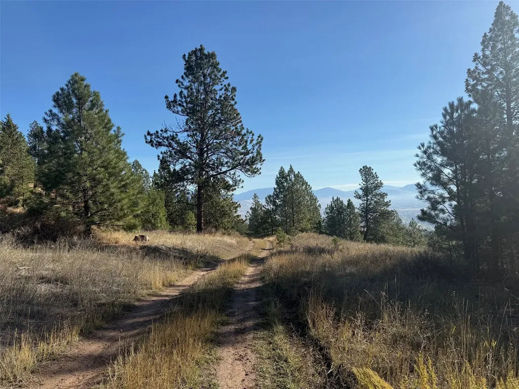 Parcel 1c Dry Gulch Road Missoula MT 59804