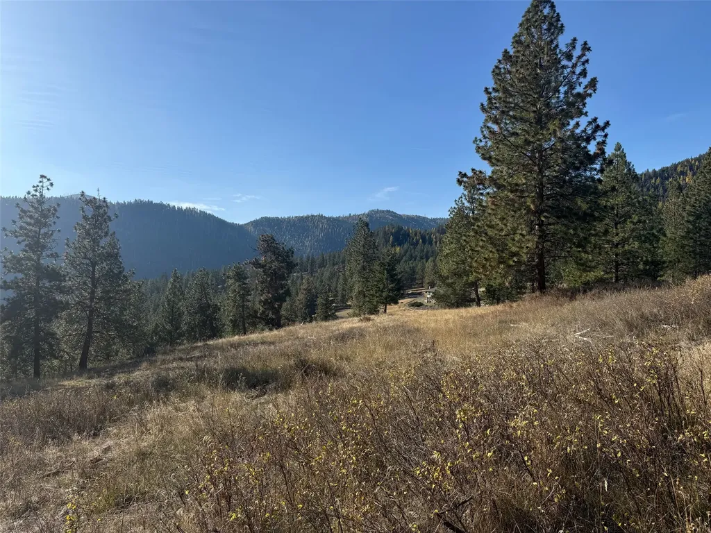 Parcel 1c Dry Gulch Road Missoula MT 59804