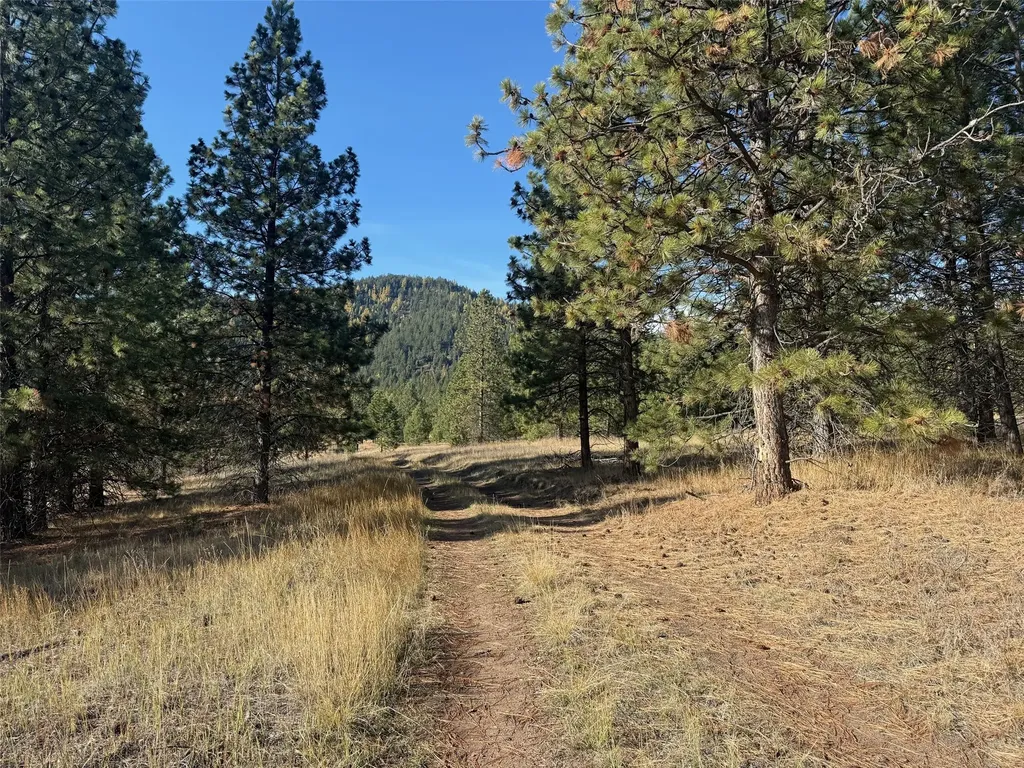 Parcel 1c Dry Gulch Road Missoula MT 59804