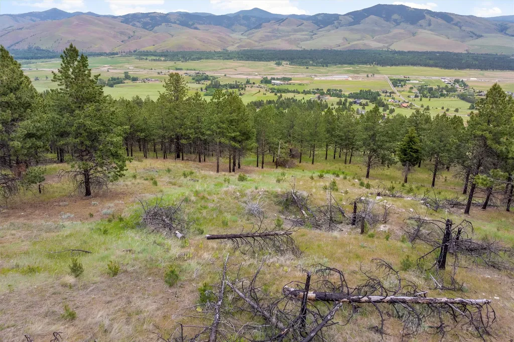 16485 Folsom Road Florence MT 59833
