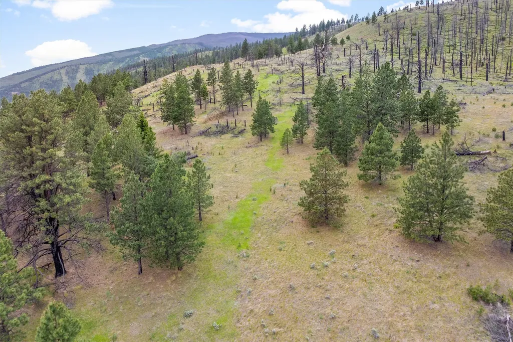 16485 Folsom Road Florence MT 59833