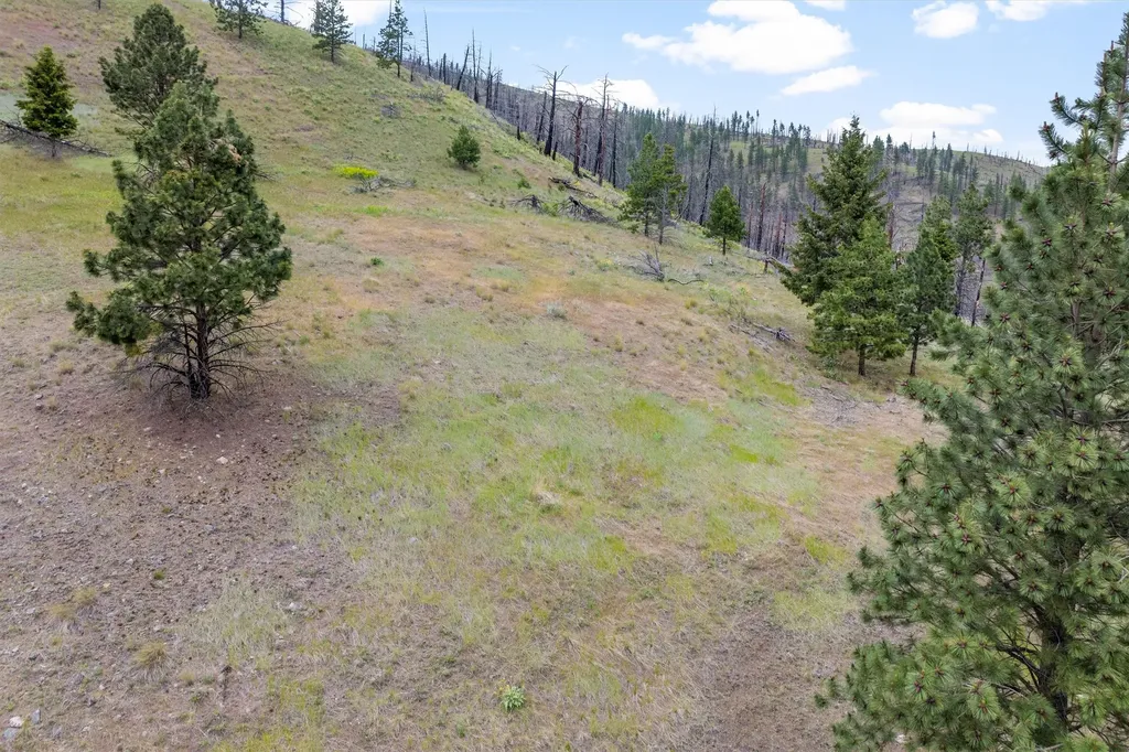 16485 Folsom Road Florence MT 59833