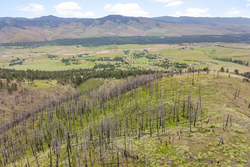 16485 Folsom Road Florence MT 59833