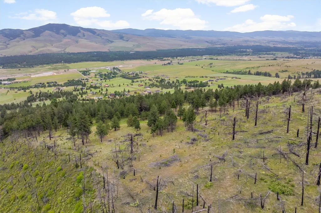 16485 Folsom Road Florence MT 59833