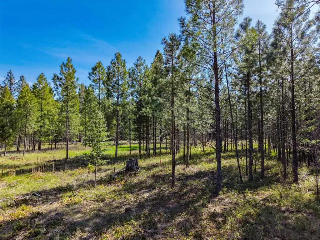 Lot 2c Liberty Lane Libby MT 59923